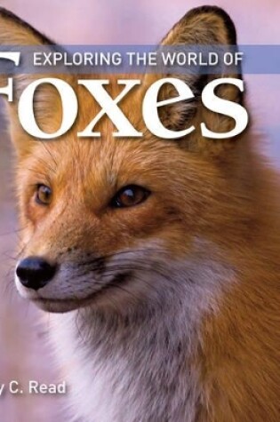 Cover of Exploring the World of Foxes