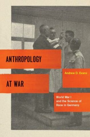 Cover of Anthropology at War