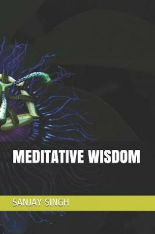 Cover of Meditative Wisdom