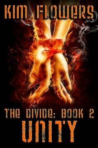 Cover of The Divide Book 2