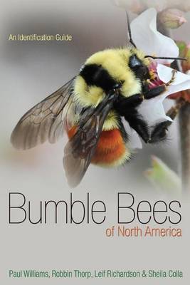 Book cover for Bumble Bees of North America: An Identification Guide