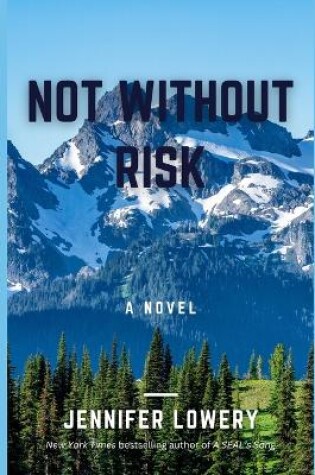 Cover of Not Without Risk