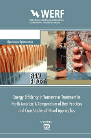 Cover of Energy Efficiency in Wastewater Treatment in North America