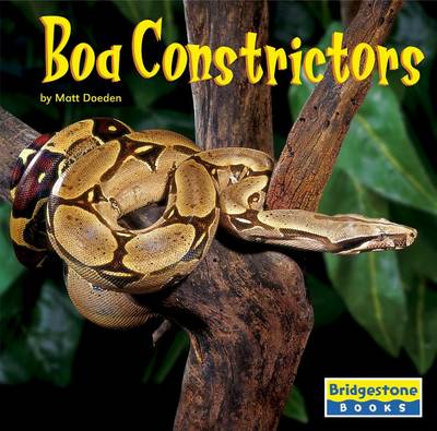 Book cover for Boa Constrictors