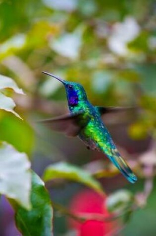 Cover of Iridescent Green and Blue Colored Hummingbird Journal