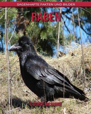 Book cover for Raben