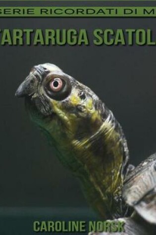 Cover of Tartaruga Scatola