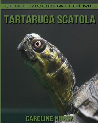 Book cover for Tartaruga Scatola