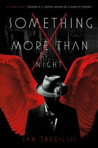 Cover of Something More Than Night