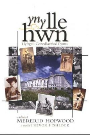 Cover of Yn y Lle Hwn - Llyfrgell Genedlaethol Cymru