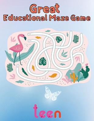 Book cover for Great Educational Maze Game Teen