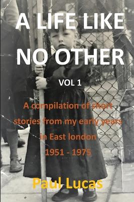 Book cover for A Life Like No Other