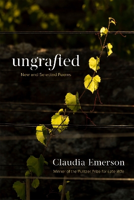 Book cover for Ungrafted