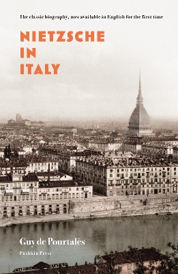Book cover for Nietzsche in Italy