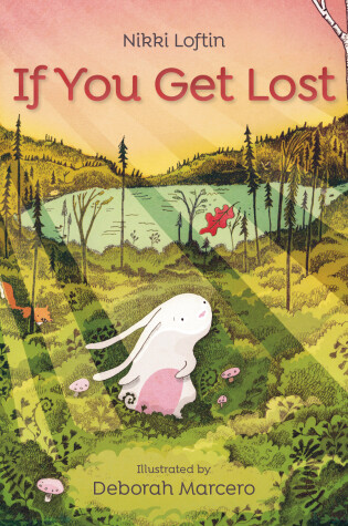 Cover of If You Get Lost