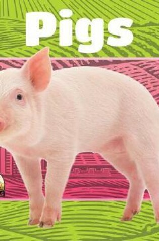 Cover of Pigs