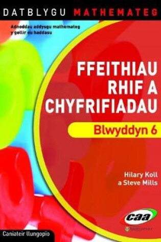 Cover of Datblygu Mathemateg: Ffeithiau Rhif a Chyfrifiadau Blwyddyn 6