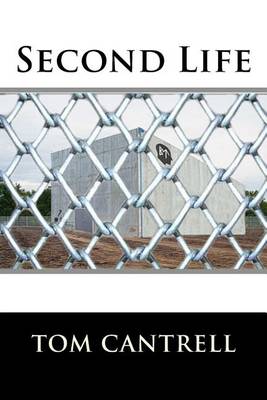Book cover for Second Life