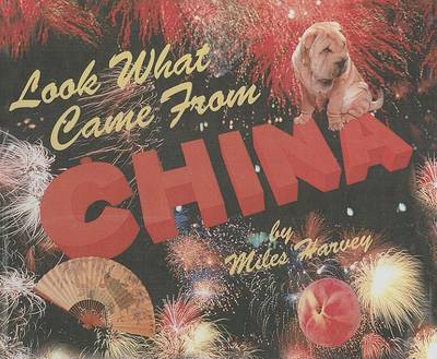 Book cover for Look What Came from China