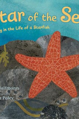 Cover of Star of the Sea