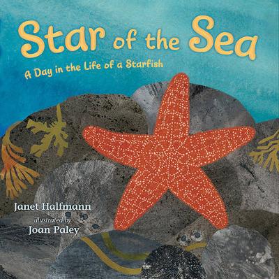 Book cover for Star of the Sea