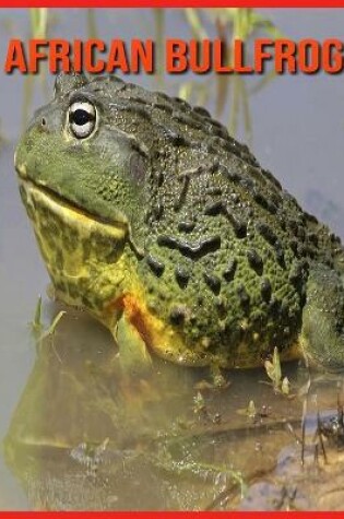 Cover of African Bullfrog