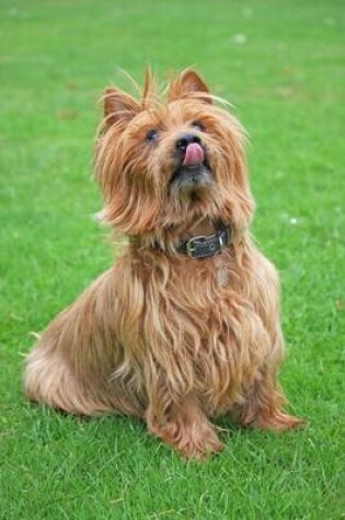 Cover of Australian Terrier, for the Love of Dogs