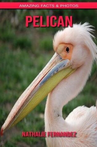 Cover of Pelican