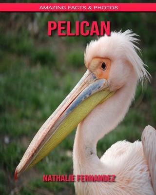 Book cover for Pelican