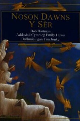 Cover of Noson Dawns y Sêr