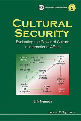 Book cover for Cultural Security