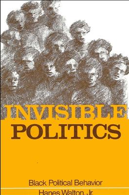 Book cover for Invisible Politics