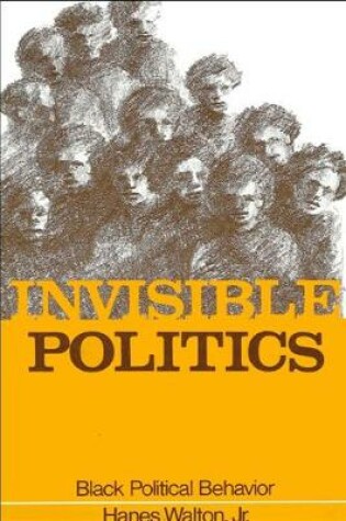 Cover of Invisible Politics