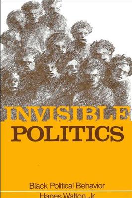 Cover of Invisible Politics