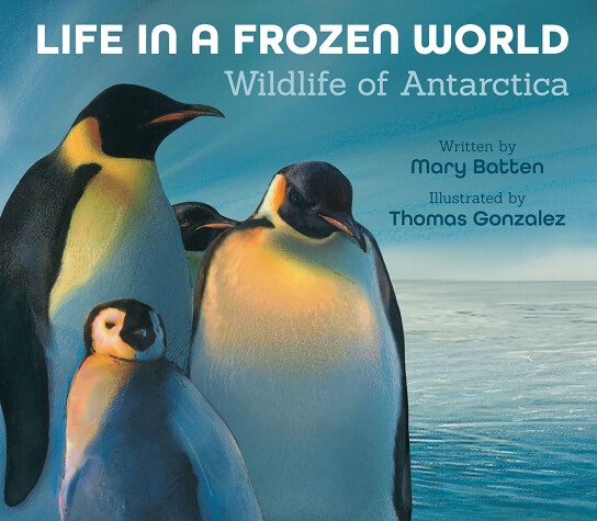 Book cover for Life in a Frozen World