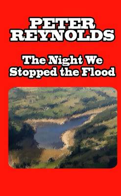 Book cover for The Night We Stopped the Flood