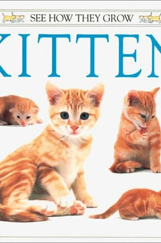 Cover of Kitten