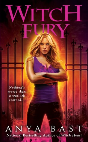 Book cover for Witch Fury