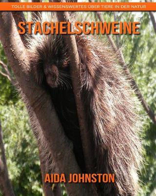 Book cover for Stachelschweine