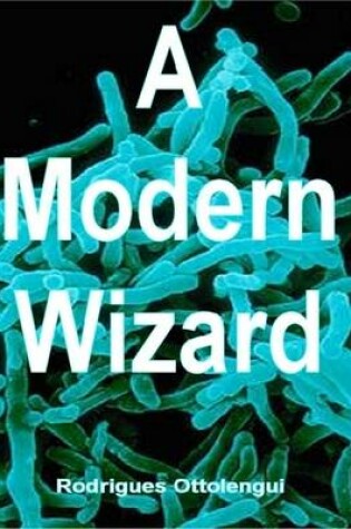 Cover of A Modern Wizard