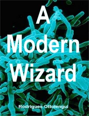 Book cover for A Modern Wizard