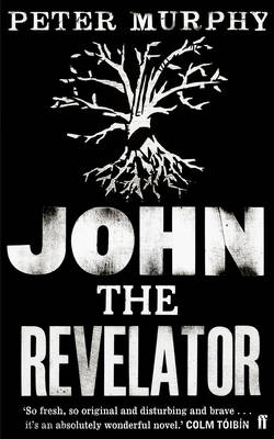 Book cover for John the Revelator