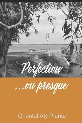 Book cover for Perfection ... ou presque