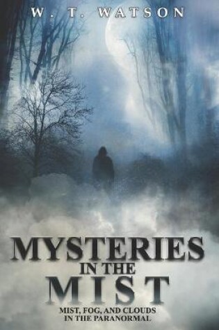 Cover of Mysteries in the Mist