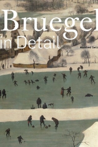 Cover of Bruegel in Detail