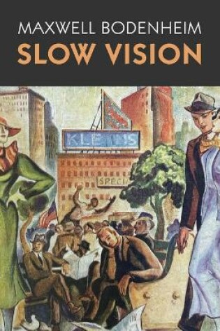 Cover of Slow Vision