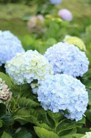 Cover of Blue and White Hydrangeas Spring Flower Garden Journal