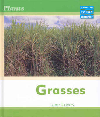 Book cover for Macmillan Young Library: Grasses