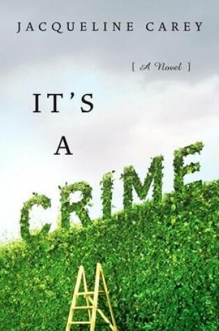 Cover of It's a Crime