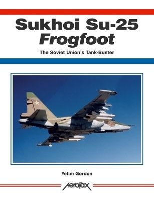 Book cover for Sukhoi Su-25 Frogfoot